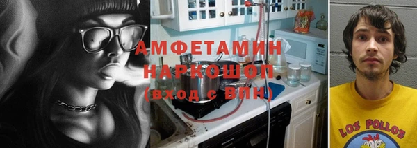 ГАЛЛЮЦИНОГЕННЫЕ ГРИБЫ Каменка