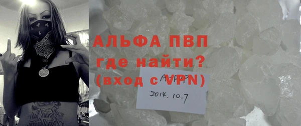 ГАЛЛЮЦИНОГЕННЫЕ ГРИБЫ Каменка