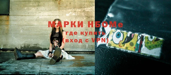 ГАЛЛЮЦИНОГЕННЫЕ ГРИБЫ Каменка