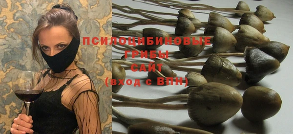 ГАЛЛЮЦИНОГЕННЫЕ ГРИБЫ Каменка