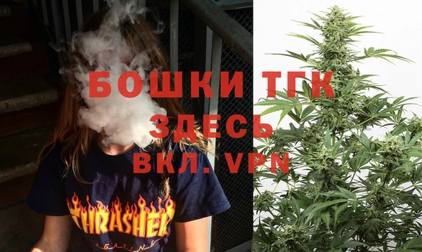 ГАЛЛЮЦИНОГЕННЫЕ ГРИБЫ Каменка